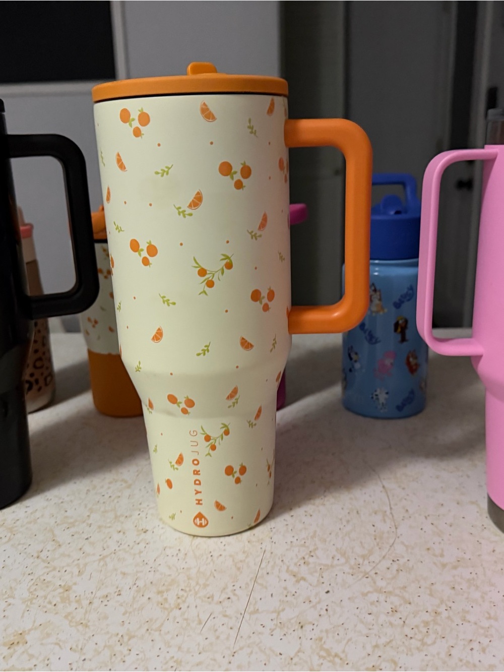 HydroJug Kids Orange Blossom Insulated Travel Cup with Handle